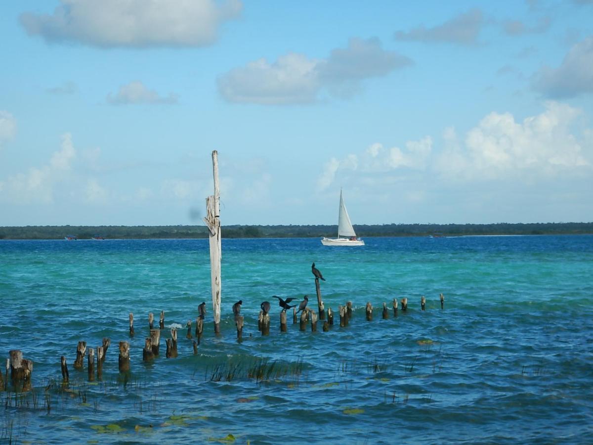 Villa Marilu B&B Bacalar Extérieur photo